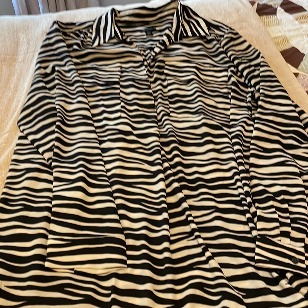 Ann Taylor Tunic